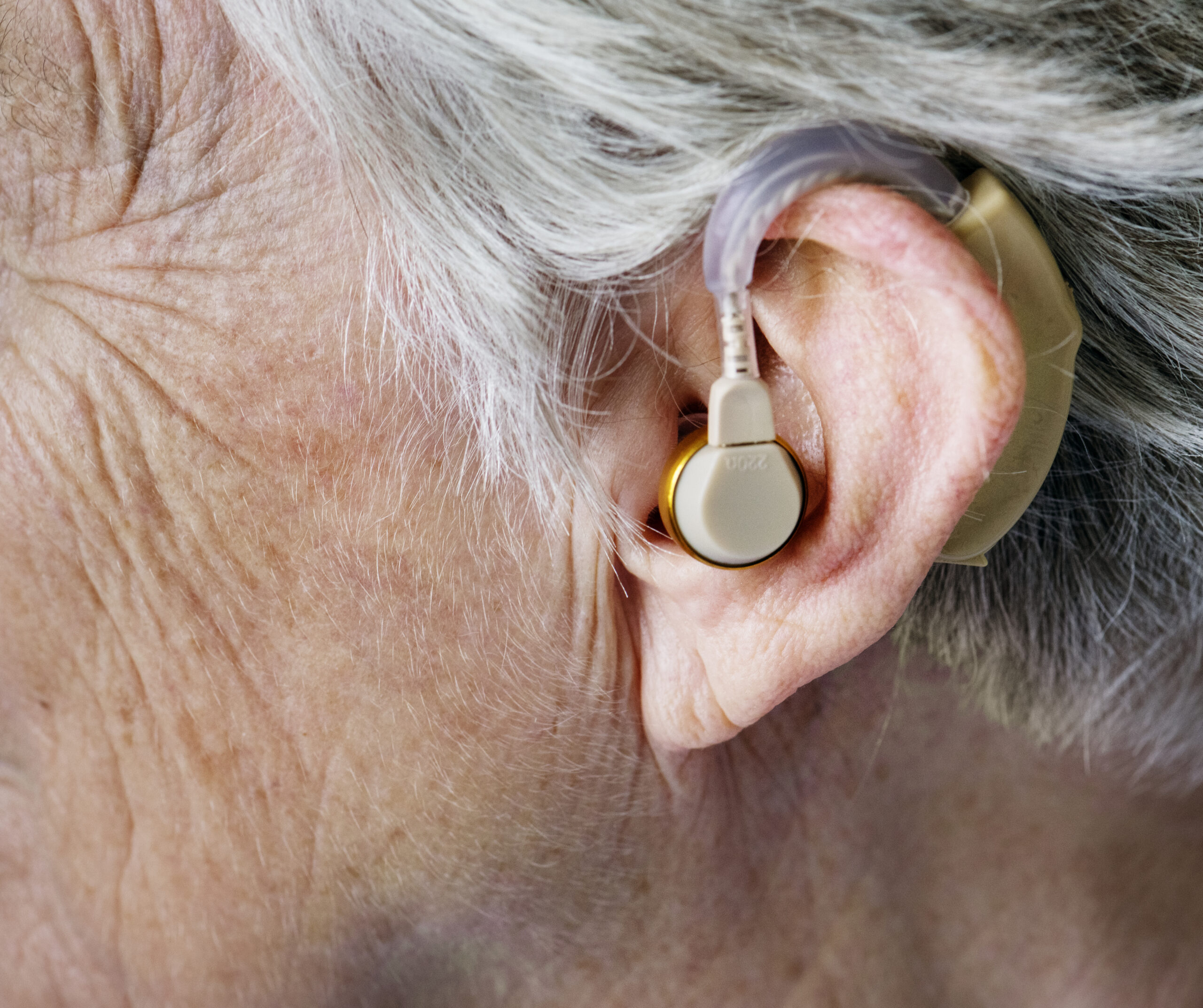 Senior-friendly visual representing hearing aids seniors.